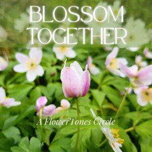 BLOSSOM ~ TOGETHER. A FlowerTones Circle Oct-Dec 2025