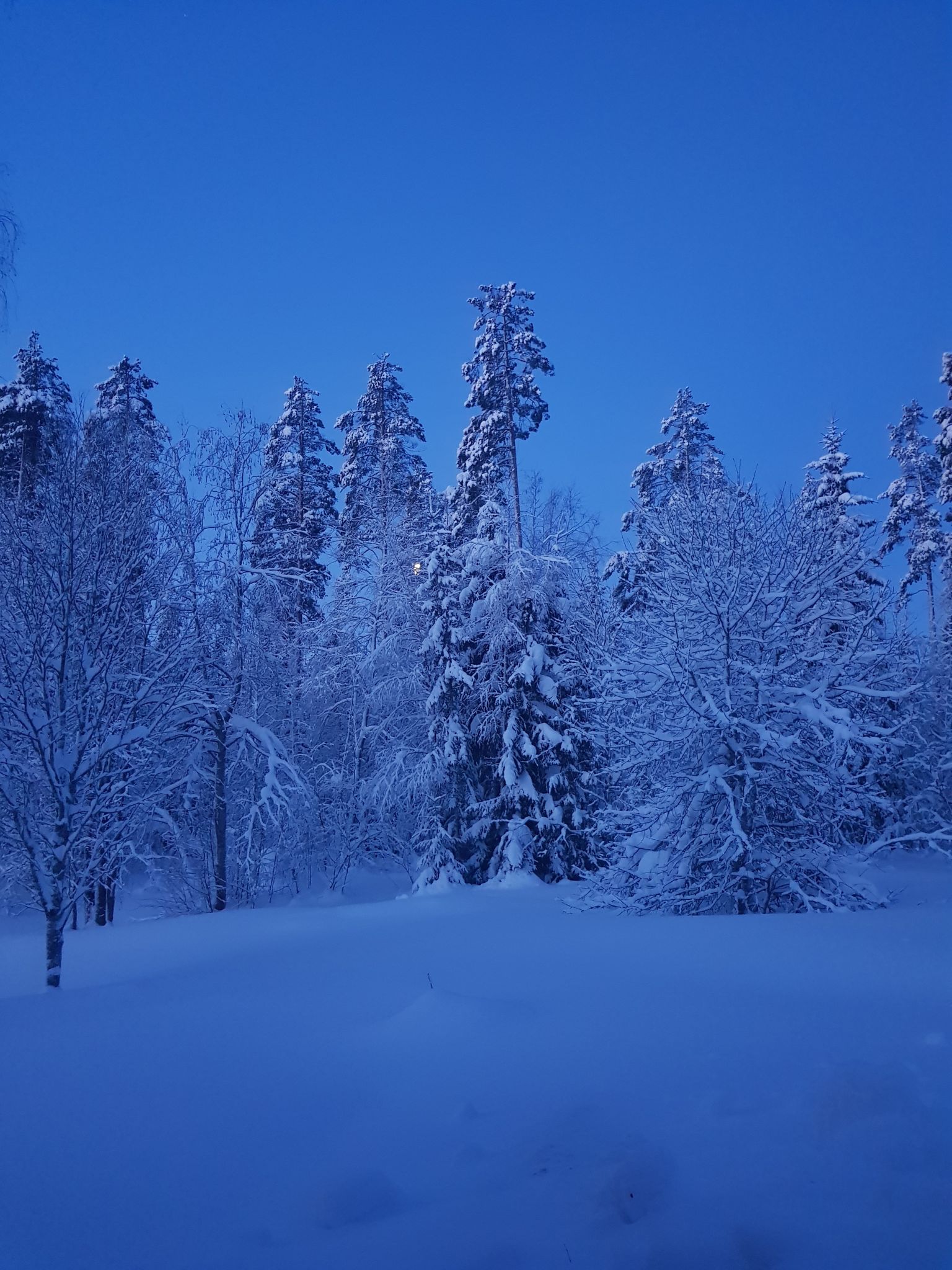 Blue winter Brännatjärn