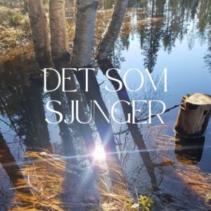 Det som sjunger retreat