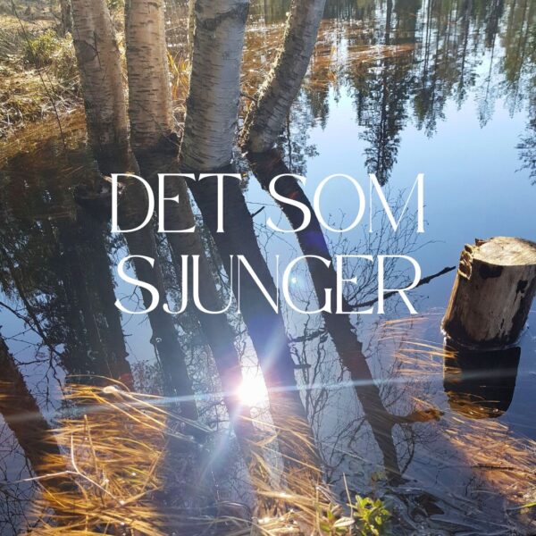 Det som sjunger retreat