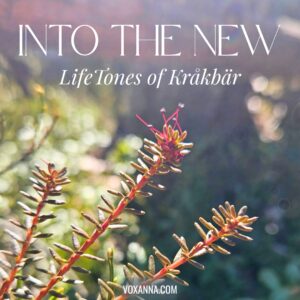 LifeTones of Kråkbär: Into the New