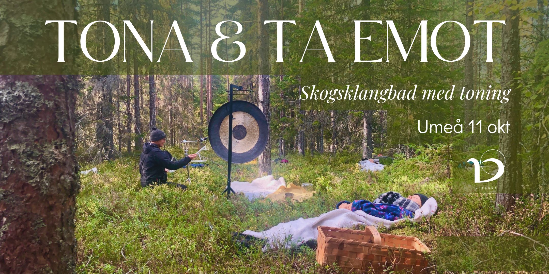 Skogsklang med toning