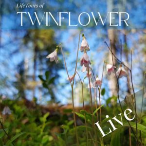 LifeTones of Twinflower ~ LIVE Journey Nov - Dec 2025
